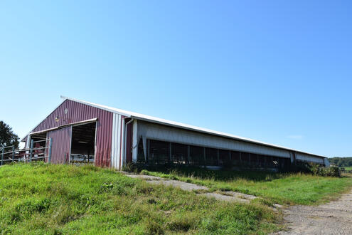 Heifer/Dry Cow Barn Heifer/Dry Cow Barn